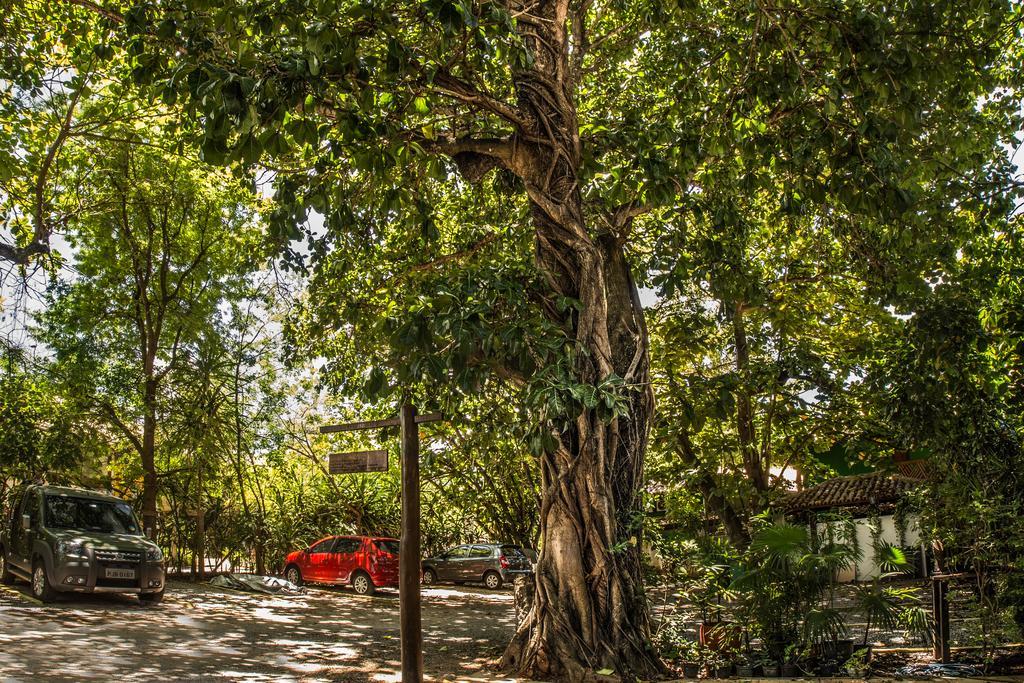 Pousada Ogum Marinho Otel Praia do Forte Dış mekan fotoğraf